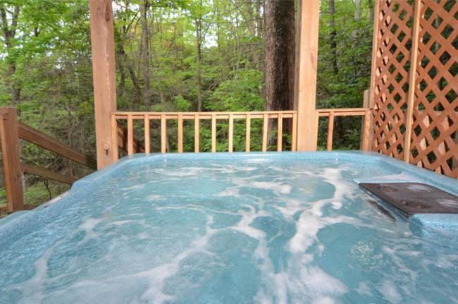 #3690 Bear Creek Lodge Hatchertown Esterno foto